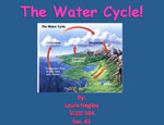 Water Cycle